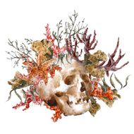 Watercolor shabby sea life greeting card with skull on wh N2