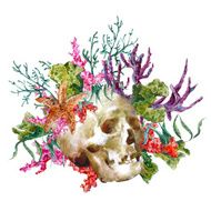 Watercolor shabby sea life greeting card with skull on wh N3