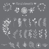 Vector Floral Elements N4