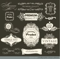 Calligraphic Design Elements N305