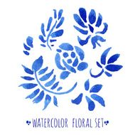 watercolor floral set N2