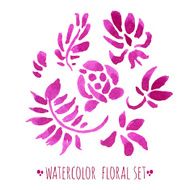 watercolor floral set N7