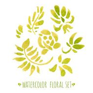 watercolor floral set N9