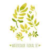 watercolor floral set N10
