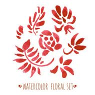 watercolor floral set N12
