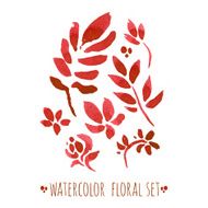watercolor floral set N13