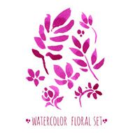 watercolor floral set N14