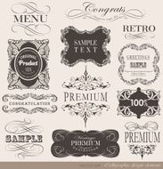 Calligraphic Design Elements N346