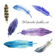 Watercolor feathers set