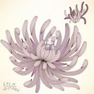 Floral Elements for design N30