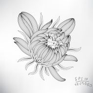 Floral Elements for design N32