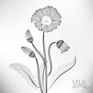 Floral Elements for design N33
