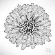 Floral Elements for design N34