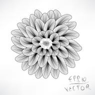 Floral Elements for design N36