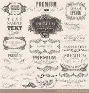 vector set calligraphic N8