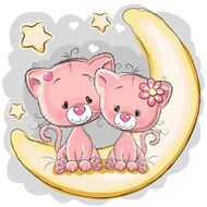 Two Cats on the moon