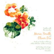 Vector background with orange watercolor nasturtium N3