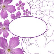 Flower card N15