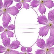 Flower card N16