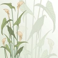 calla N2