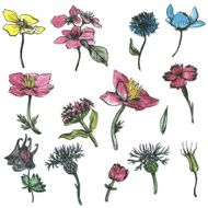 vector set of flowers and leaves