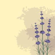 Lavender sprigs on the ink spots background