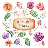 Watercolor Flowers N105