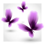 Violet butterflies fluttering air