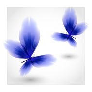 Dark blue butterflies fluttering air