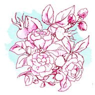 Nice flowers