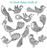 Set of cute ornamental hand drawn birds N3
