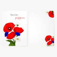 Template card with chamomile cornflowers and red flowers poppies N3