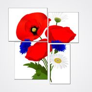 Vector white background with chamomile cornflowers and poppies N5
