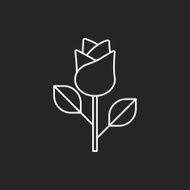 flower bouquet line icon N14