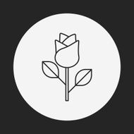 flower bouquet line icon N15