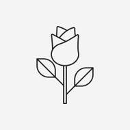 flower bouquet line icon N16