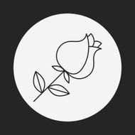 flower bouquet line icon N19