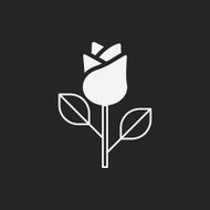 Flower bouquet icon N19