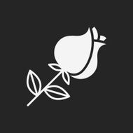 Flower bouquet icon N27