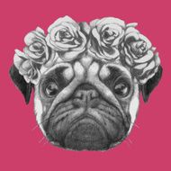Hand drawn portrait of Pug Dog with floral head wreath N2