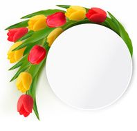 Yellow and red tulips holiday background Vector