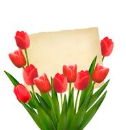 Red tulips with Happy Mother&#039;s Day note Vector