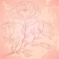 Sketch of rose branch on grungy texture