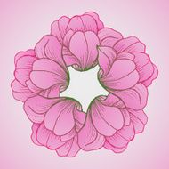 Floral background with daisy in pastel colors N6