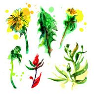 Watercolor Flowers N111
