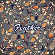 vector feathers background