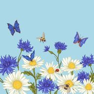 Greeting Card with Blooming Chamomile N2