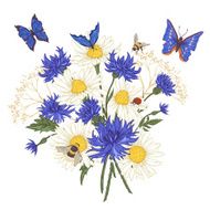 Greeting Card with Blooming Chamomile N4