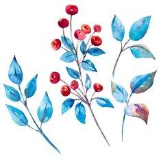 Watercolor vector berries N2