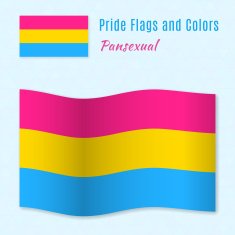 Pansexual pride flag with correct color scheme N2